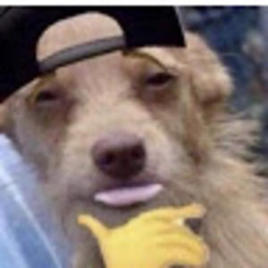 Meet your Posher, Bree